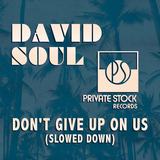 Hoes van Don’t Give Up on Us door David Soul