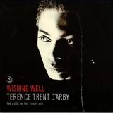 Hoes van Wishing Well door Terence Trent D’Arby