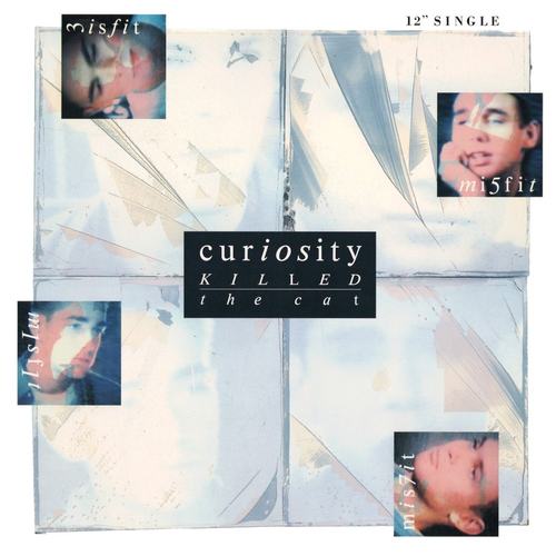 Hoes van Misfit door Curiosity Killed the Cat
