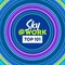 Sky at Work Top 101