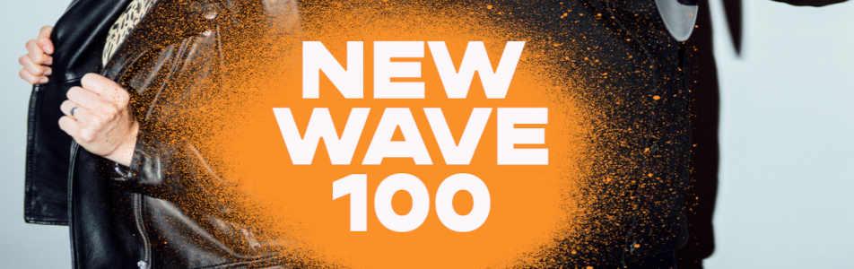 Willy New Wave 100